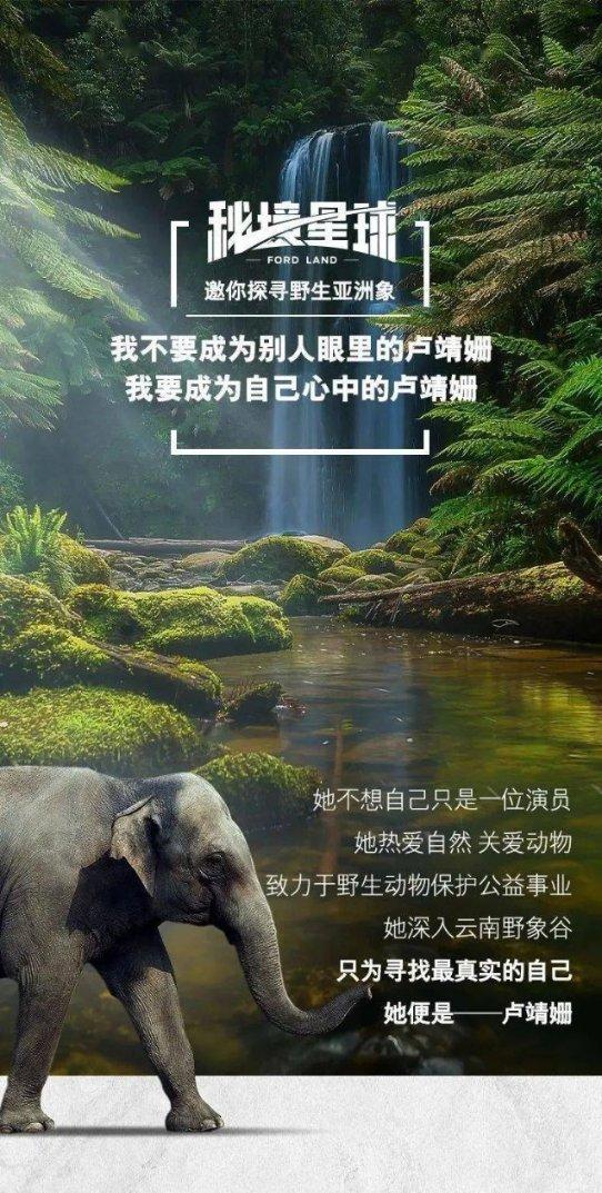 水果时尚风格