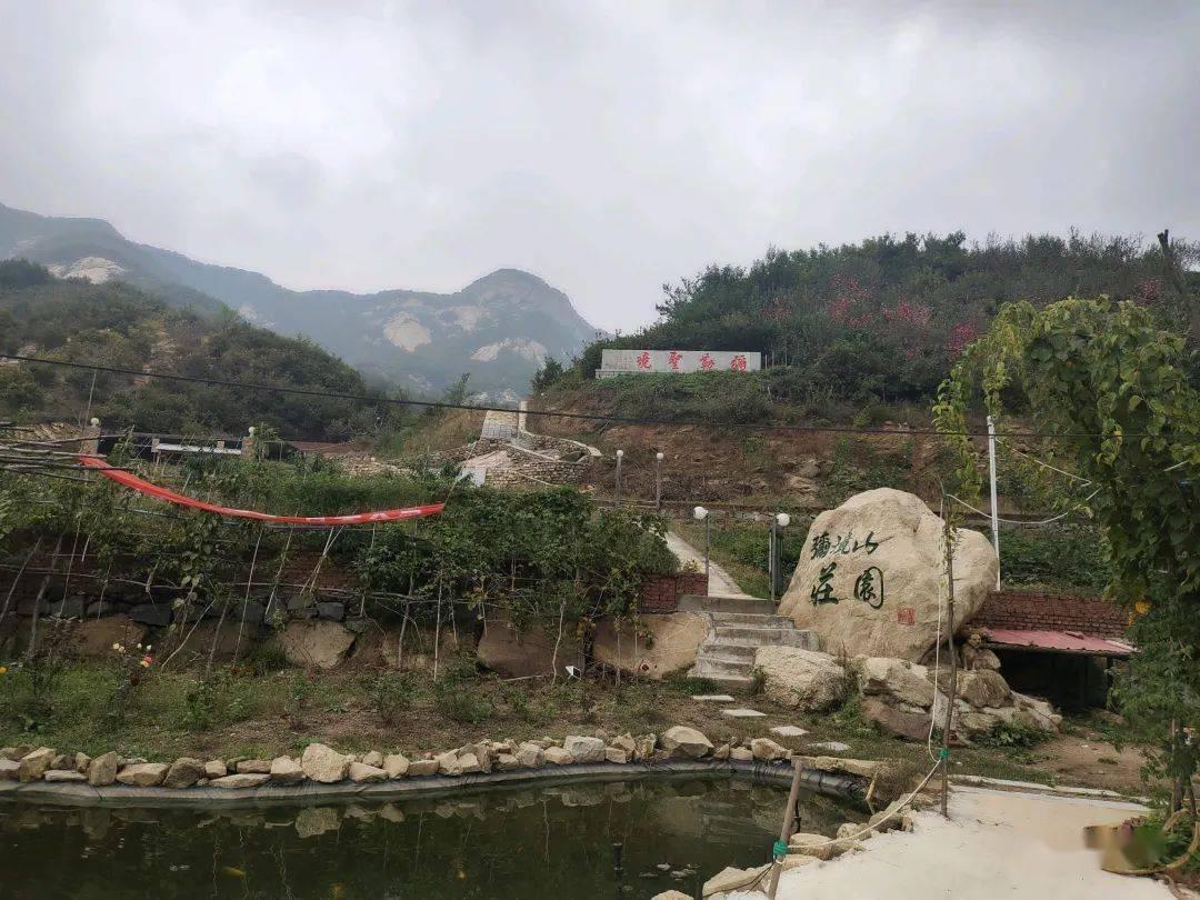 女孩主动发信息给你什么意思?- 红迪网平台