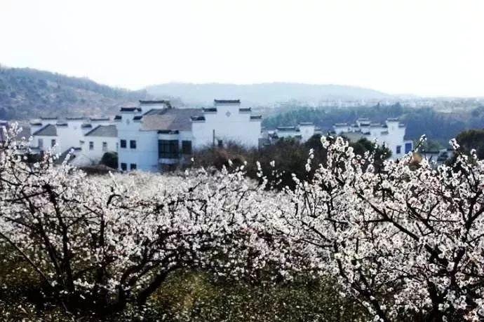 地铁跑酷hc游戏画面