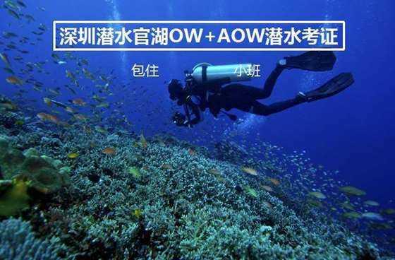 幼升小错过了网上报名怎么办？游戏画面