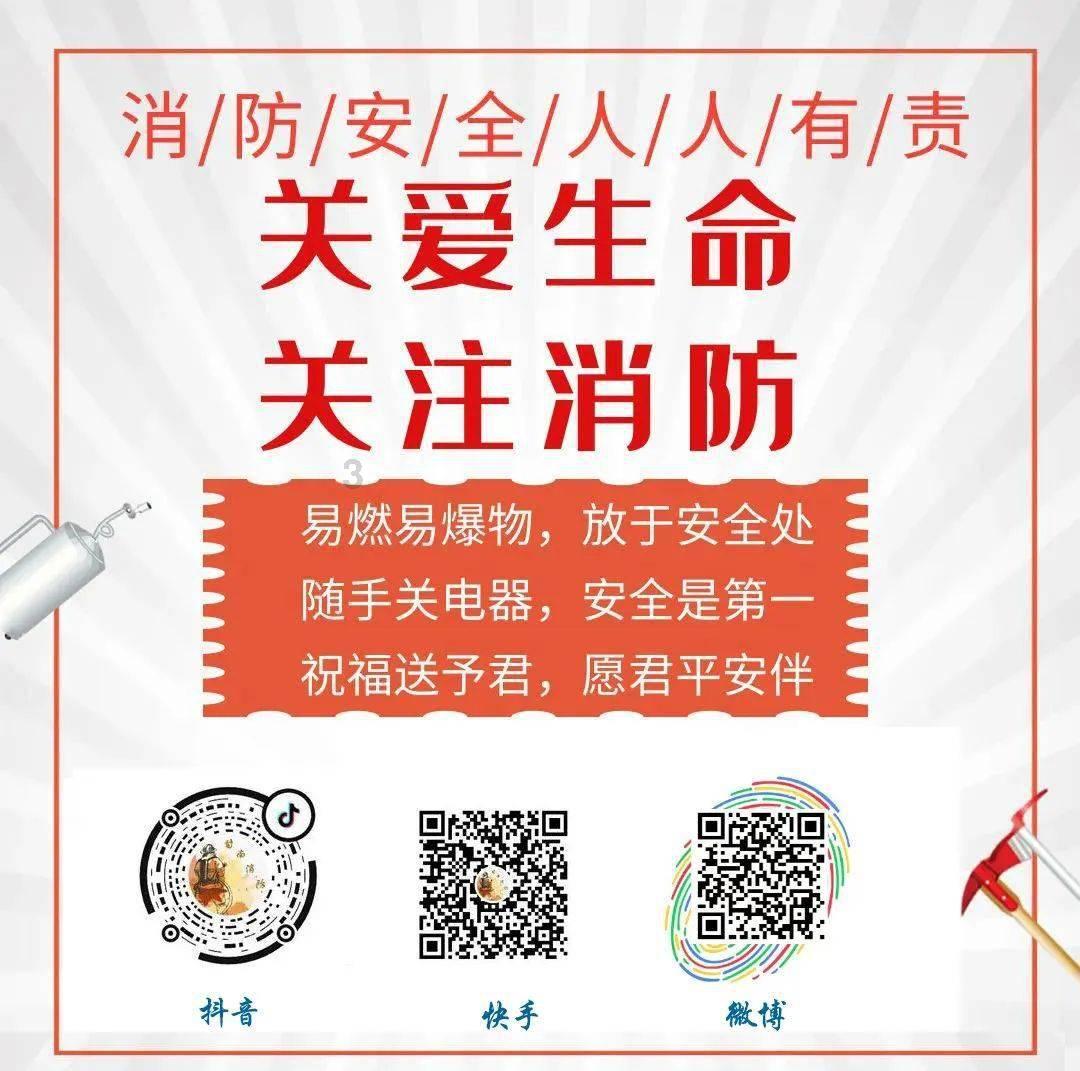 植物大战僵尸1
