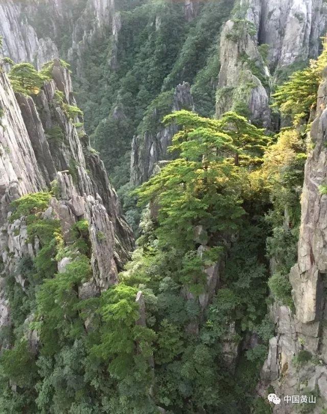 狂暴重装机甲3