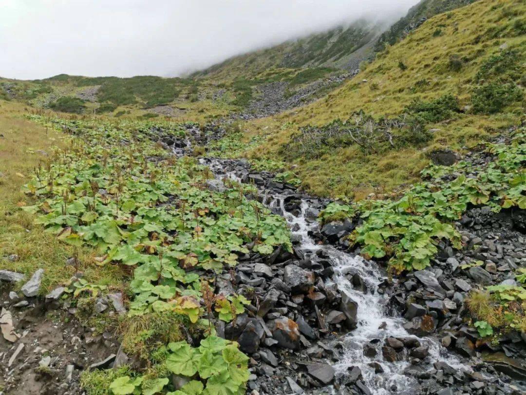 卢顿官方:曾遭遇心脏骤停的洛克耶首次回到训练场并与众队友交谈