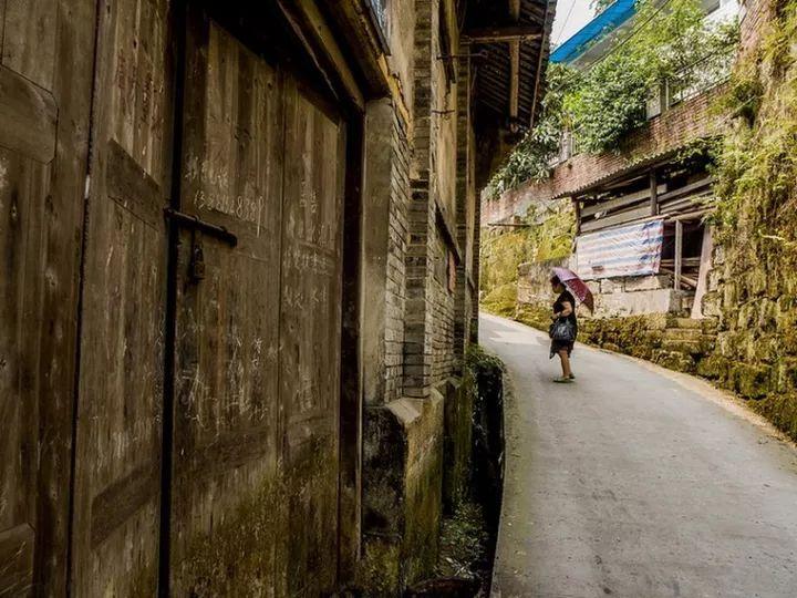 矿工打地鼠
