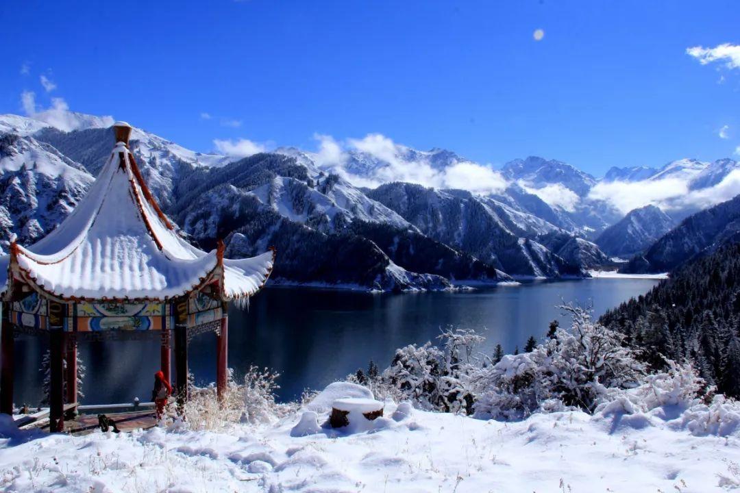 救援金刚狼