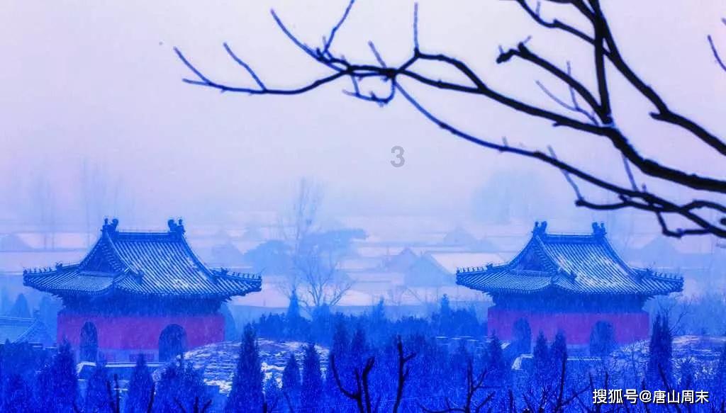 救援快乐的兔子
